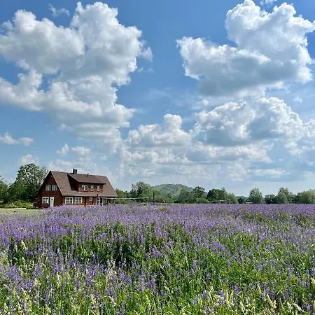Holiday home Rosi Puhkemaja Koljala
