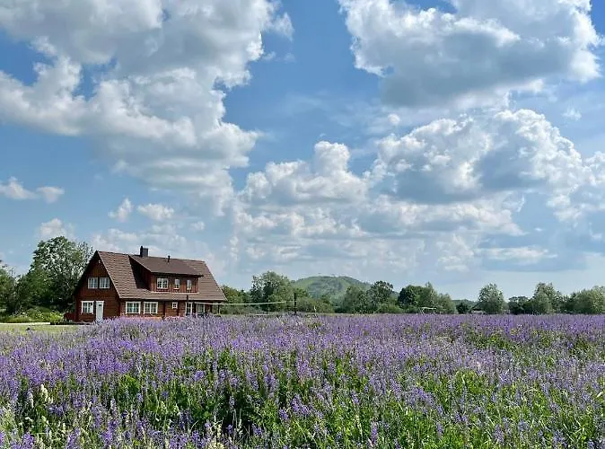 Σπίτι διακοπών Rosi Puhkemaja Koljala